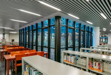 Casino Lion Wins Mobiilirakendus